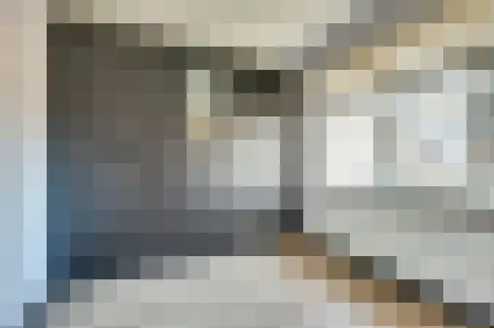 Nederlandstraat 3 De Lier thumbnail 21