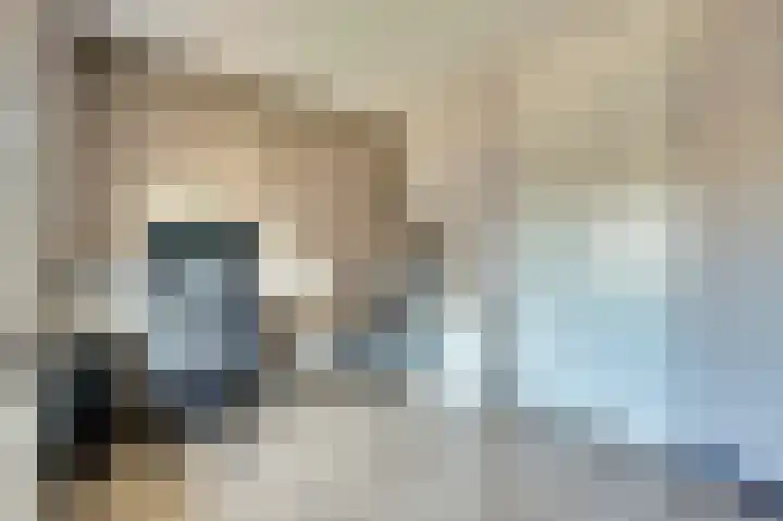 Nederlandstraat 3 De Lier thumbnail 23