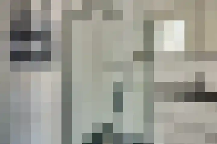 Nederlandstraat 3 De Lier thumbnail 24