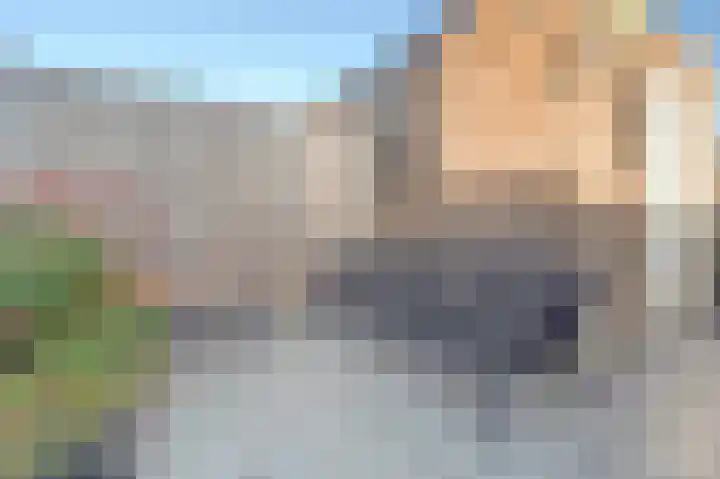 Nederlandstraat 3 De Lier thumbnail 29