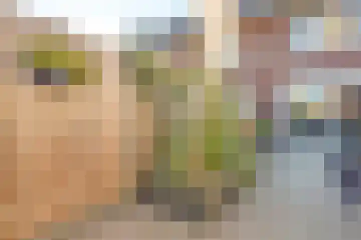 Nederlandstraat 3 De Lier thumbnail 30