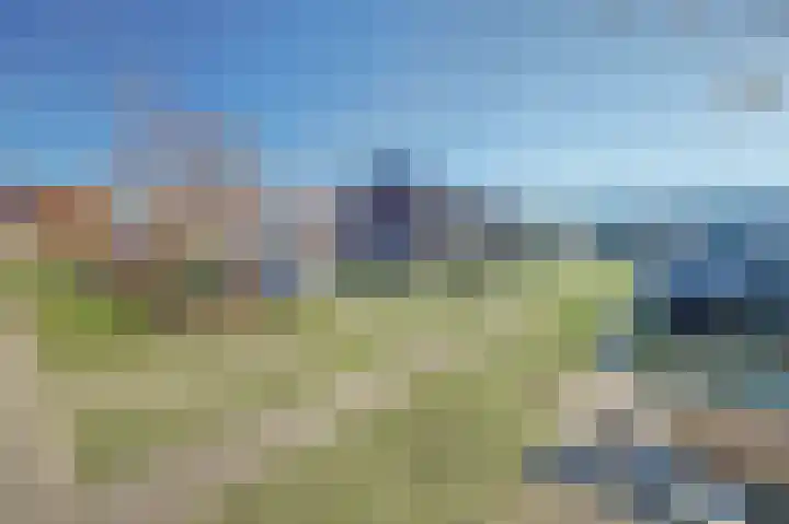 Nederlandstraat 3 De Lier thumbnail 33
