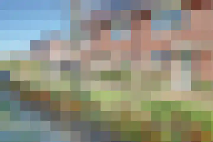 Nederlandstraat 3 De Lier thumbnail 34