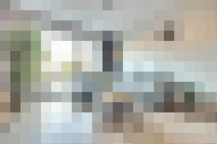 Nederlandstraat 3 De Lier thumbnail 4