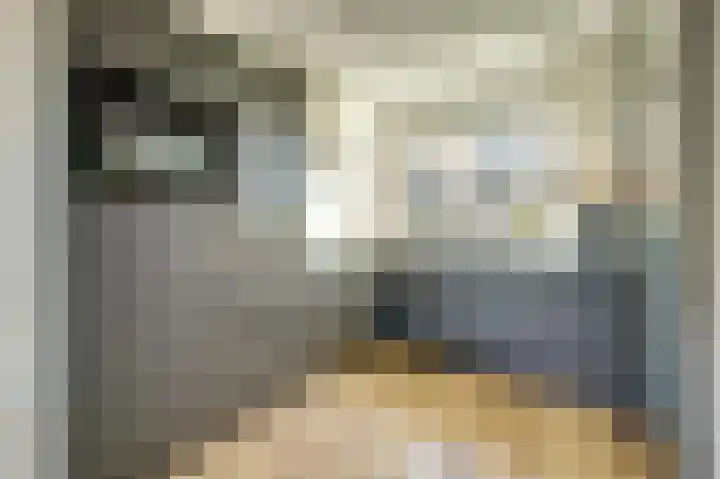 Nederlandstraat 3 De Lier thumbnail 5