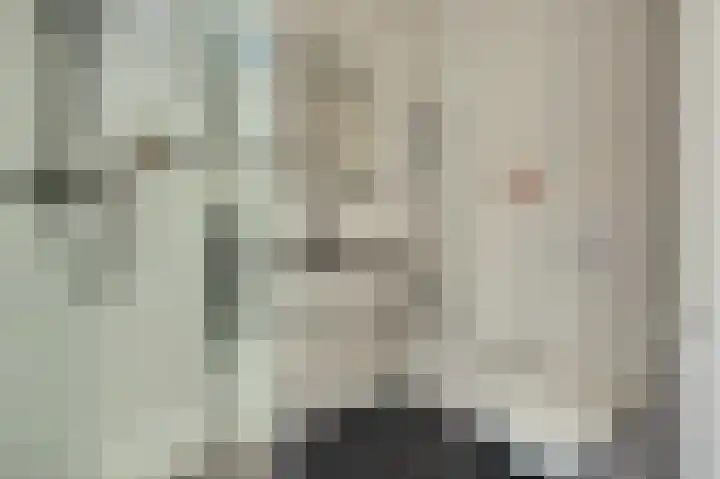 Nederlandstraat 3 De Lier thumbnail 6