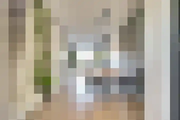 Nederlandstraat 3 De Lier thumbnail 7