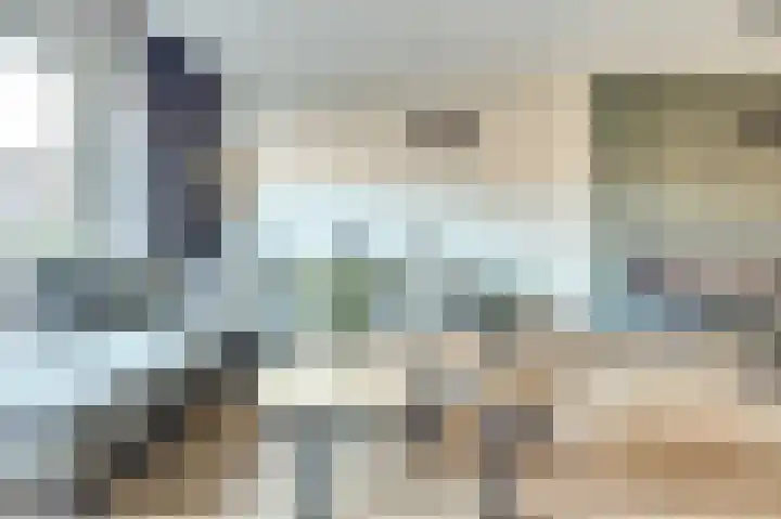Nederlandstraat 3 De Lier thumbnail 8