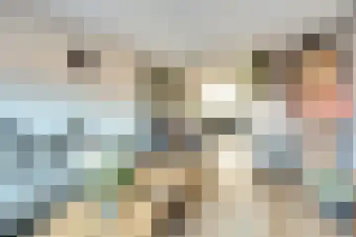 Nederlandstraat 3 De Lier thumbnail 9