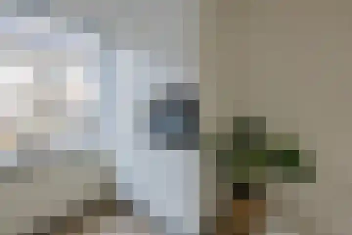 Nederlandstraat 5 Alphen aan den Rijn thumbnail 7