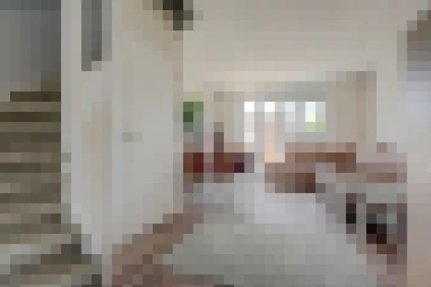 Nederlandstraat 7 De Lier thumbnail 12
