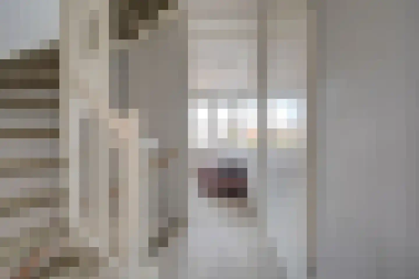 Nederlandstraat 7 De Lier thumbnail 13