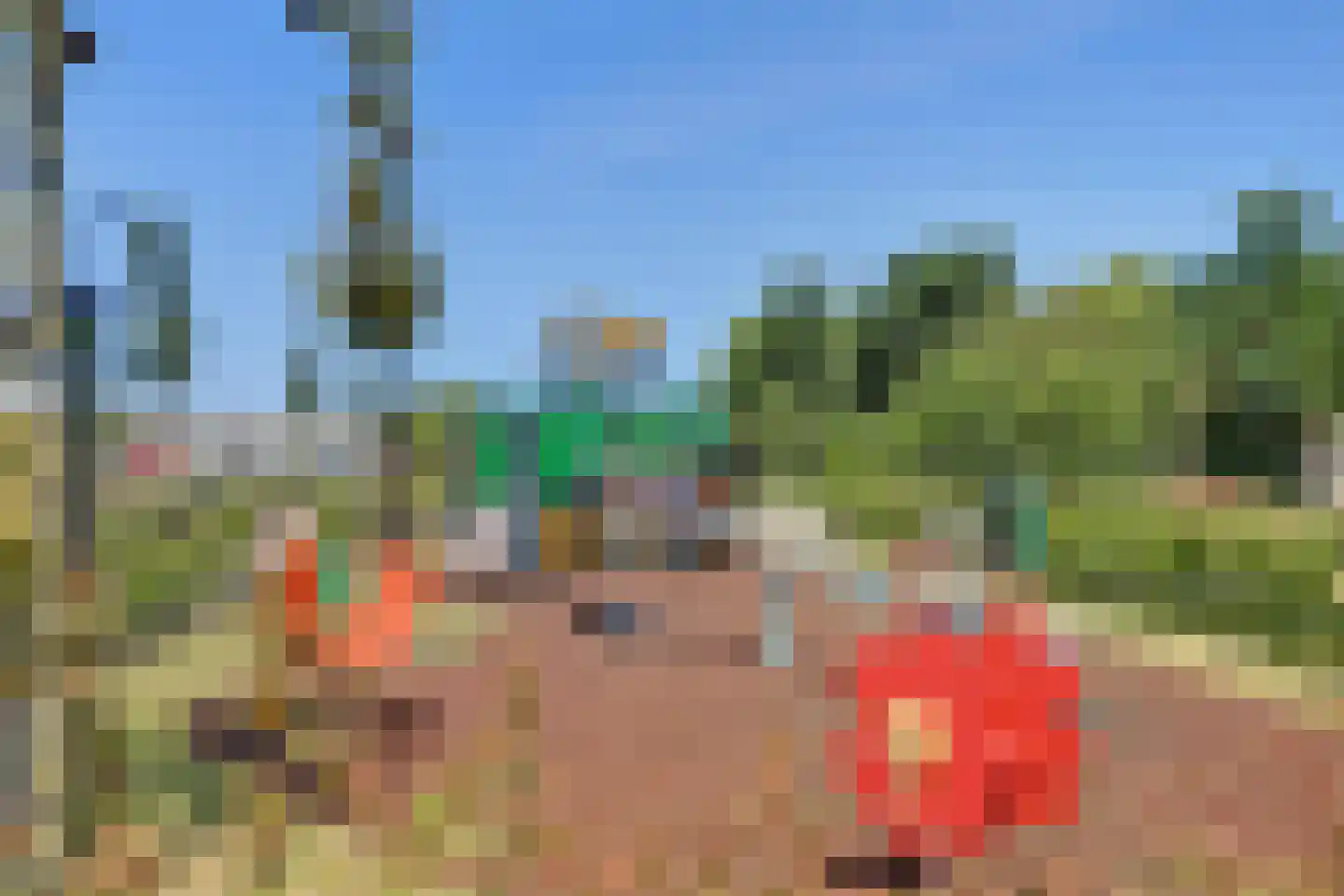 Nederlandstraat 7 De Lier thumbnail 27