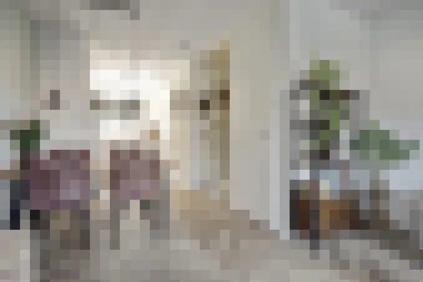 Nederlandstraat 9 De Lier thumbnail 10