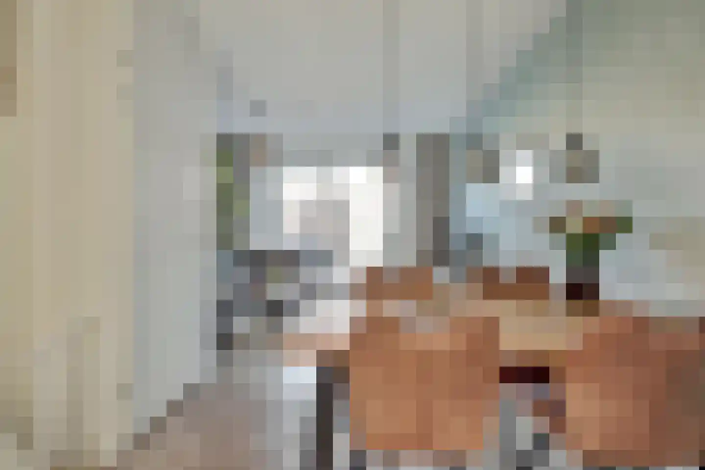 Nederlandstraat 9 De Lier thumbnail 11
