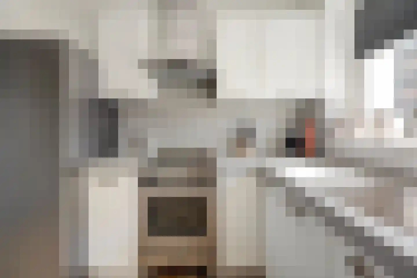 Nederlandstraat 9 De Lier thumbnail 12