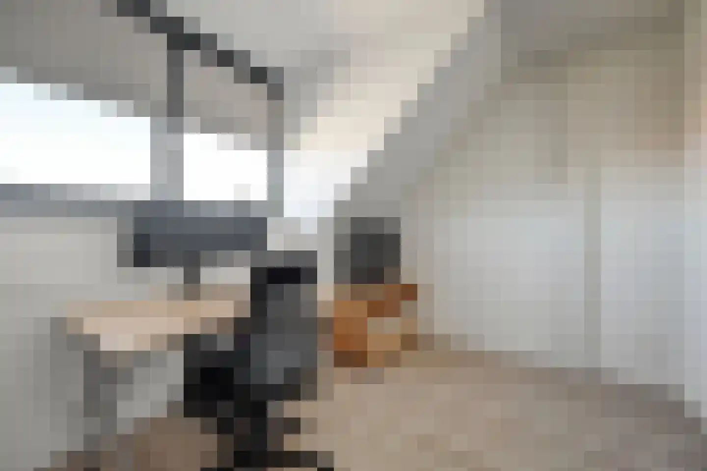 Nederlandstraat 9 De Lier thumbnail 22