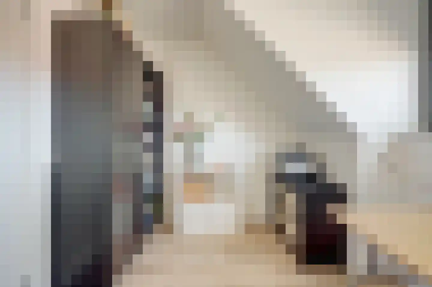 Nederlandstraat 9 De Lier thumbnail 23