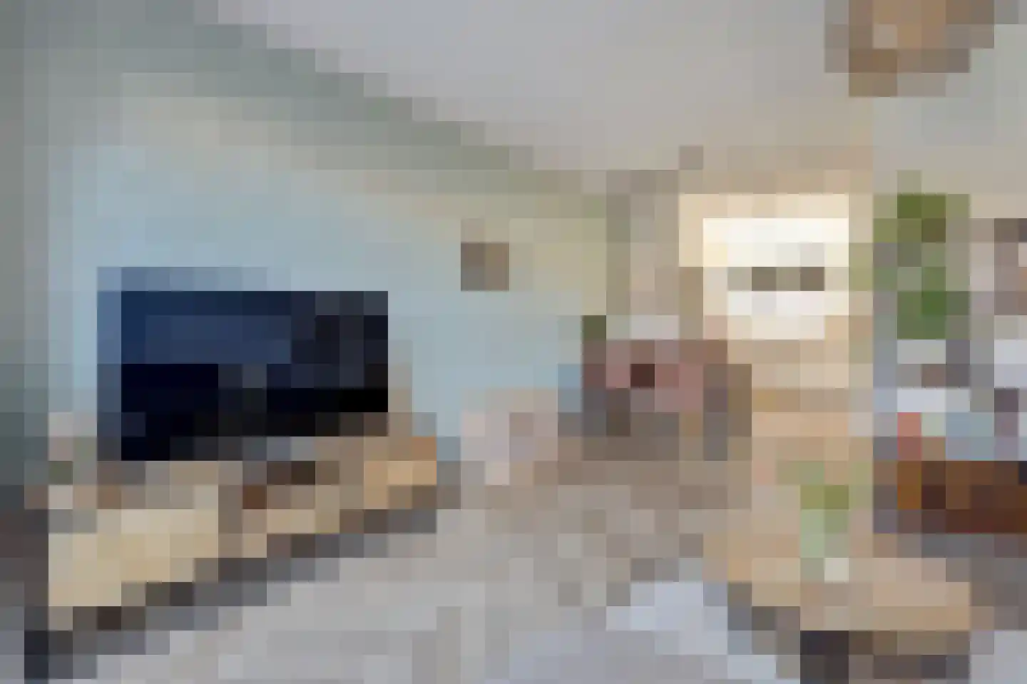 Nederlandstraat 9 De Lier thumbnail 9