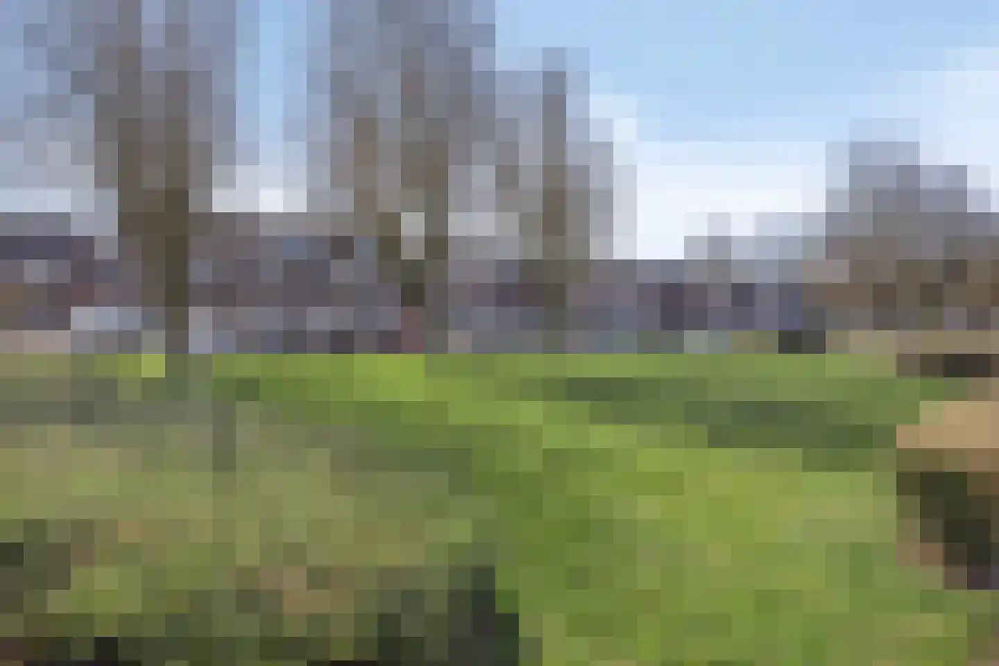 Nedermaaslaan 34 Weert thumbnail 36