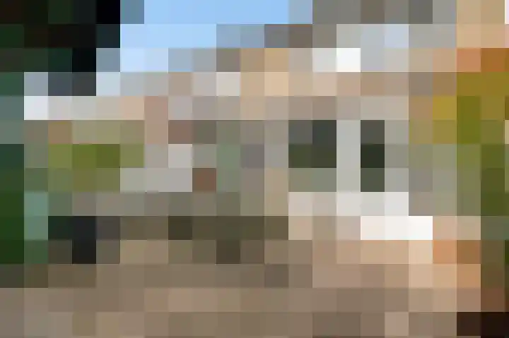 Nedermaaslaan 36 Weert thumbnail 19