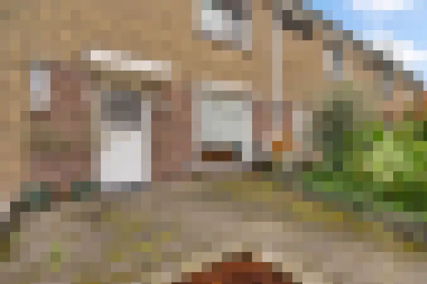Nedermaaslaan 36 Weert thumbnail 4