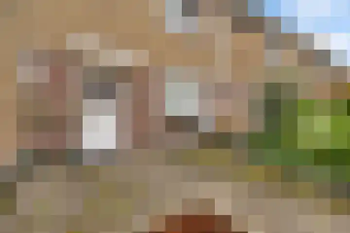 Nedermaaslaan 36 Weert thumbnail 4