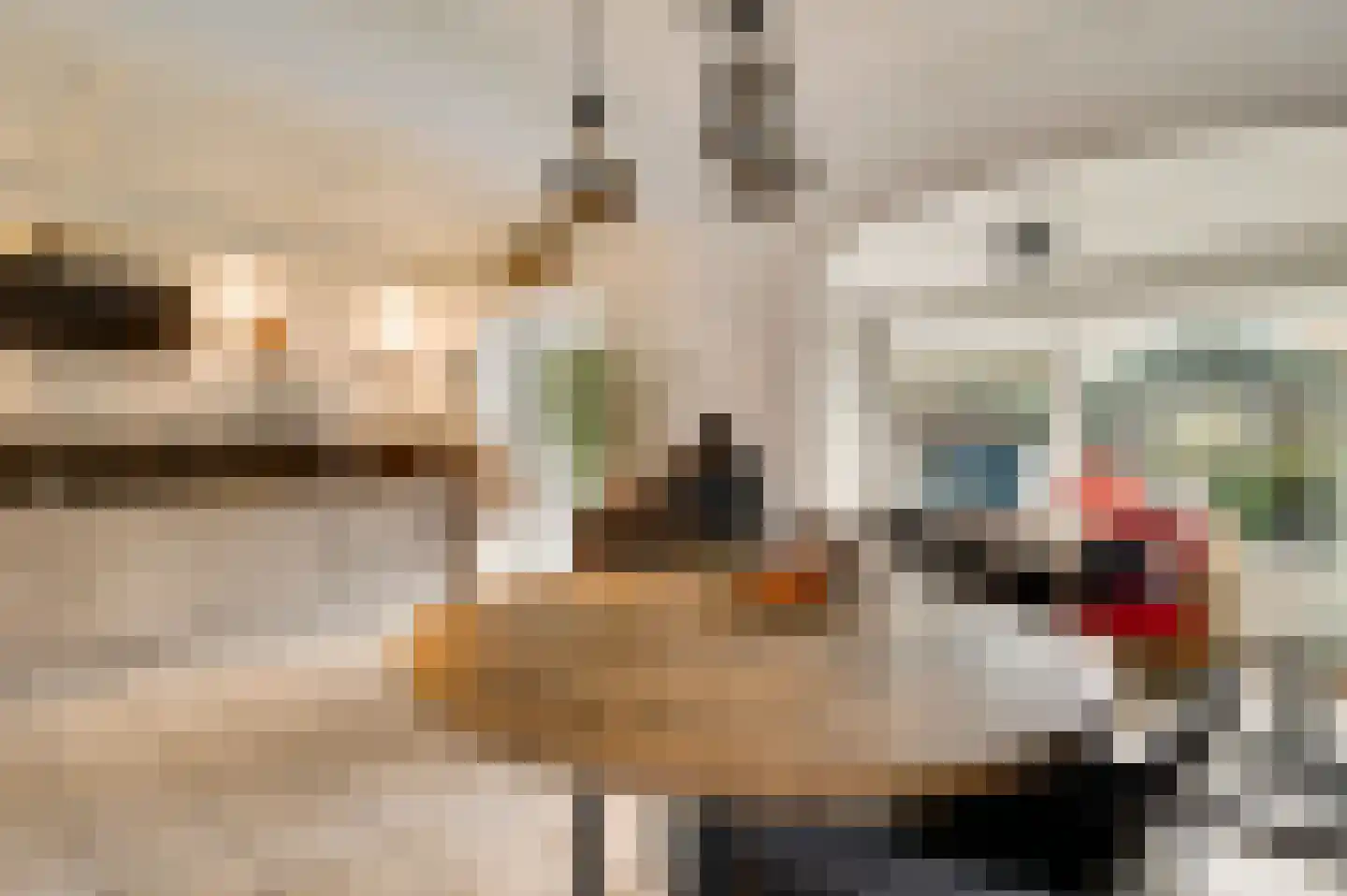 Nedermaaslaan 36 Weert thumbnail 8