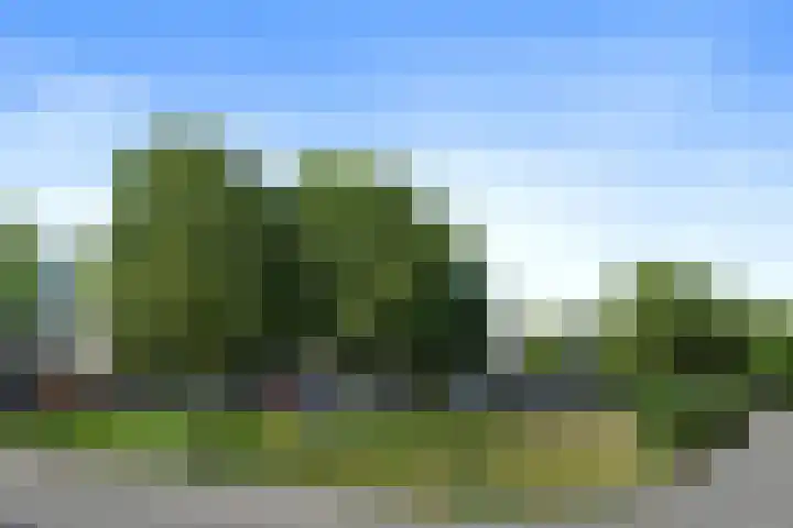 Nedermaaslaan 38 Weert thumbnail 6