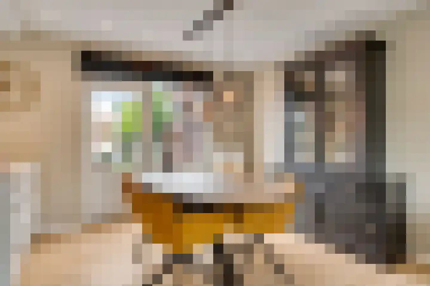 Nedermaaslaan 9 Weert thumbnail 10