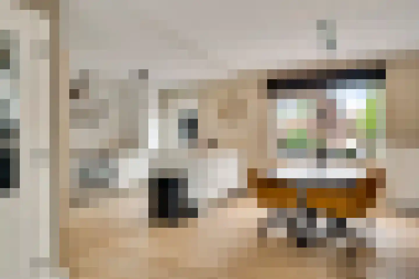 Nedermaaslaan 9 Weert thumbnail 6