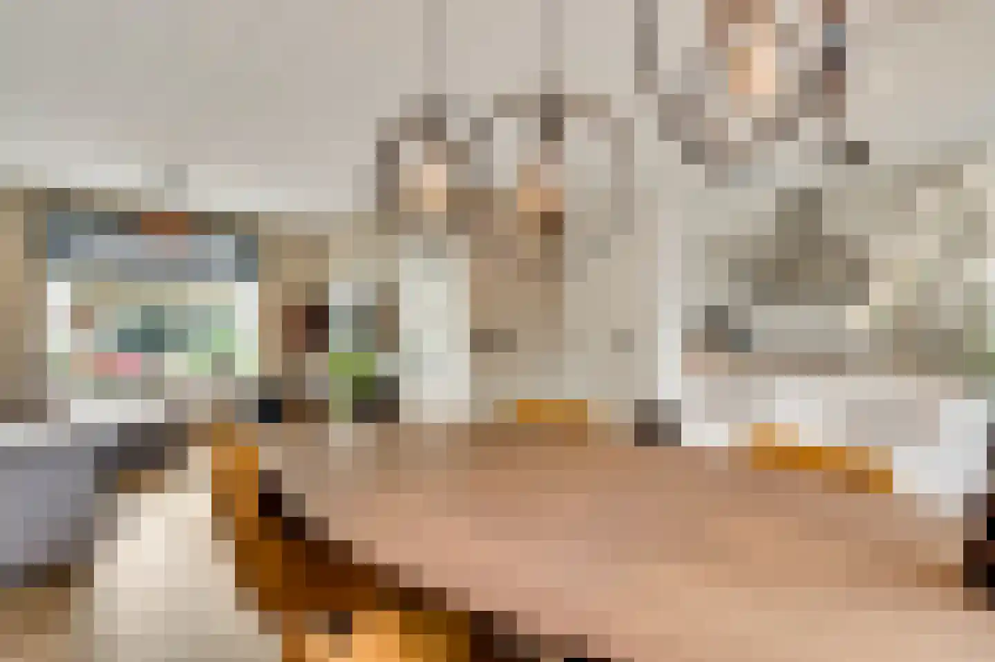 Nedermaaslaan 9 Weert thumbnail 9