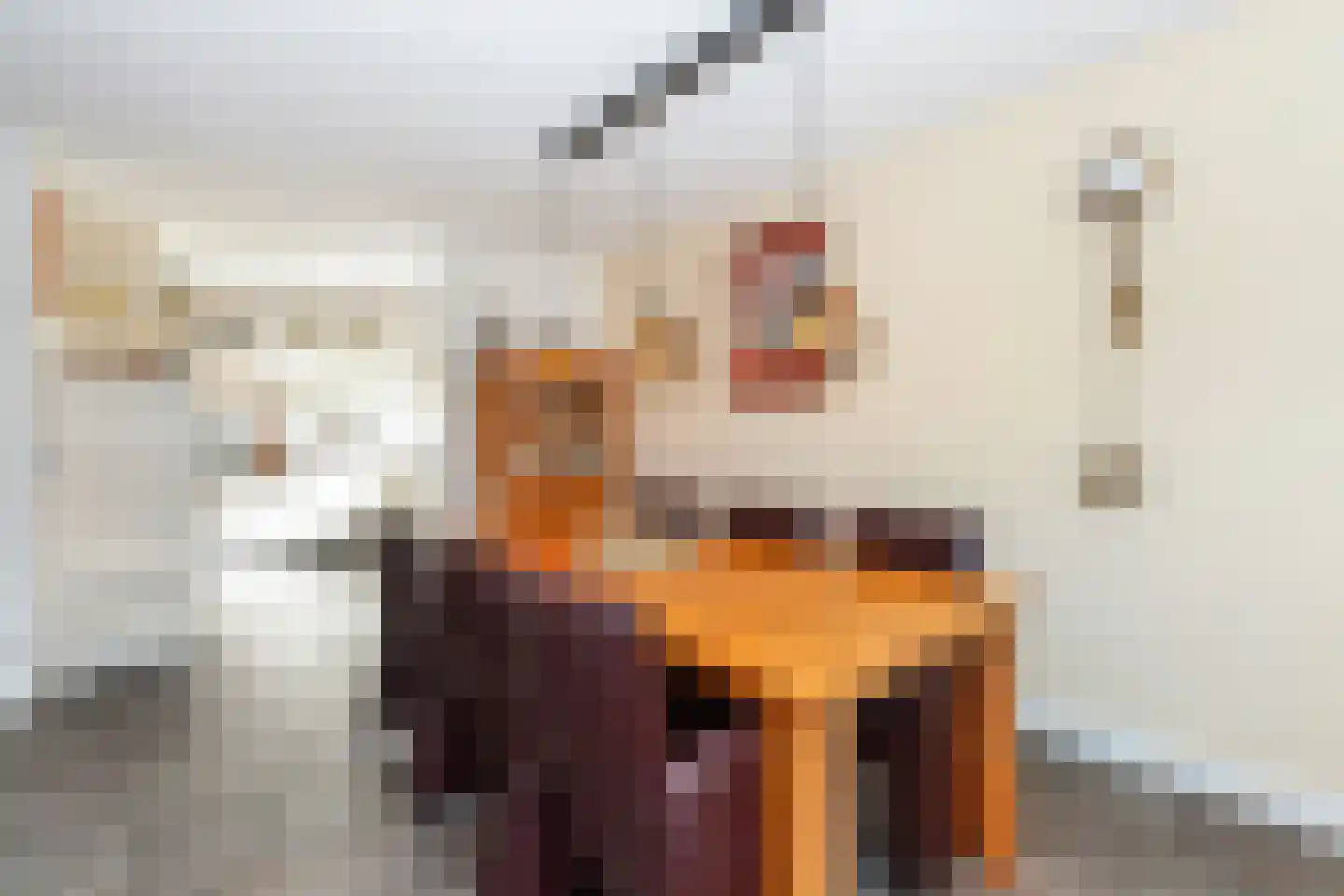Nedersassen 2 Alblasserdam thumbnail 12