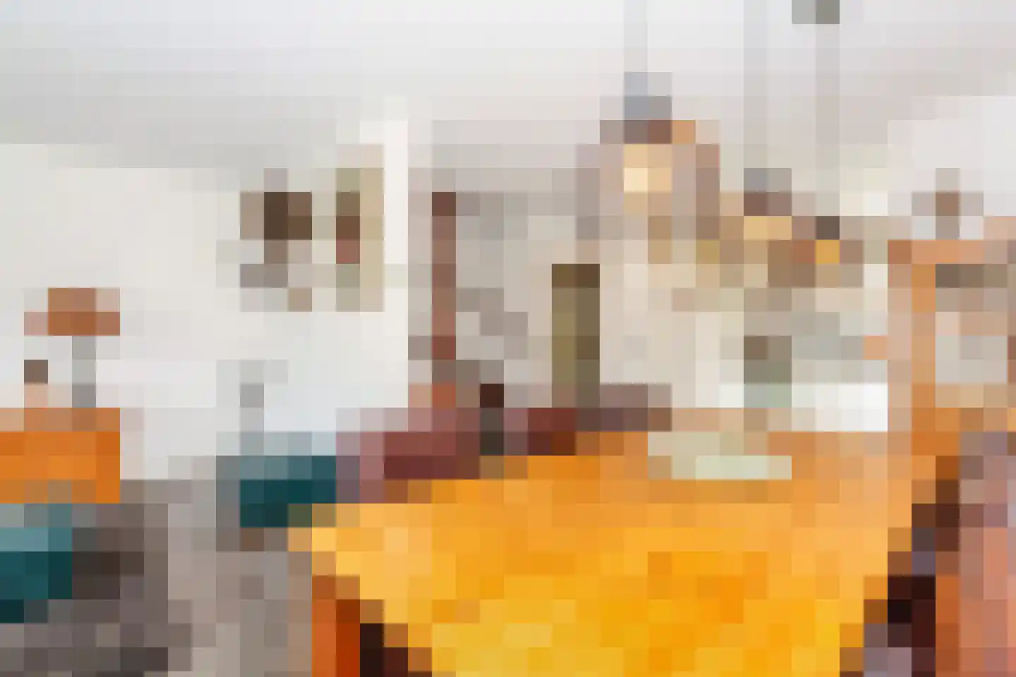Nedersassen 2 Alblasserdam thumbnail 13