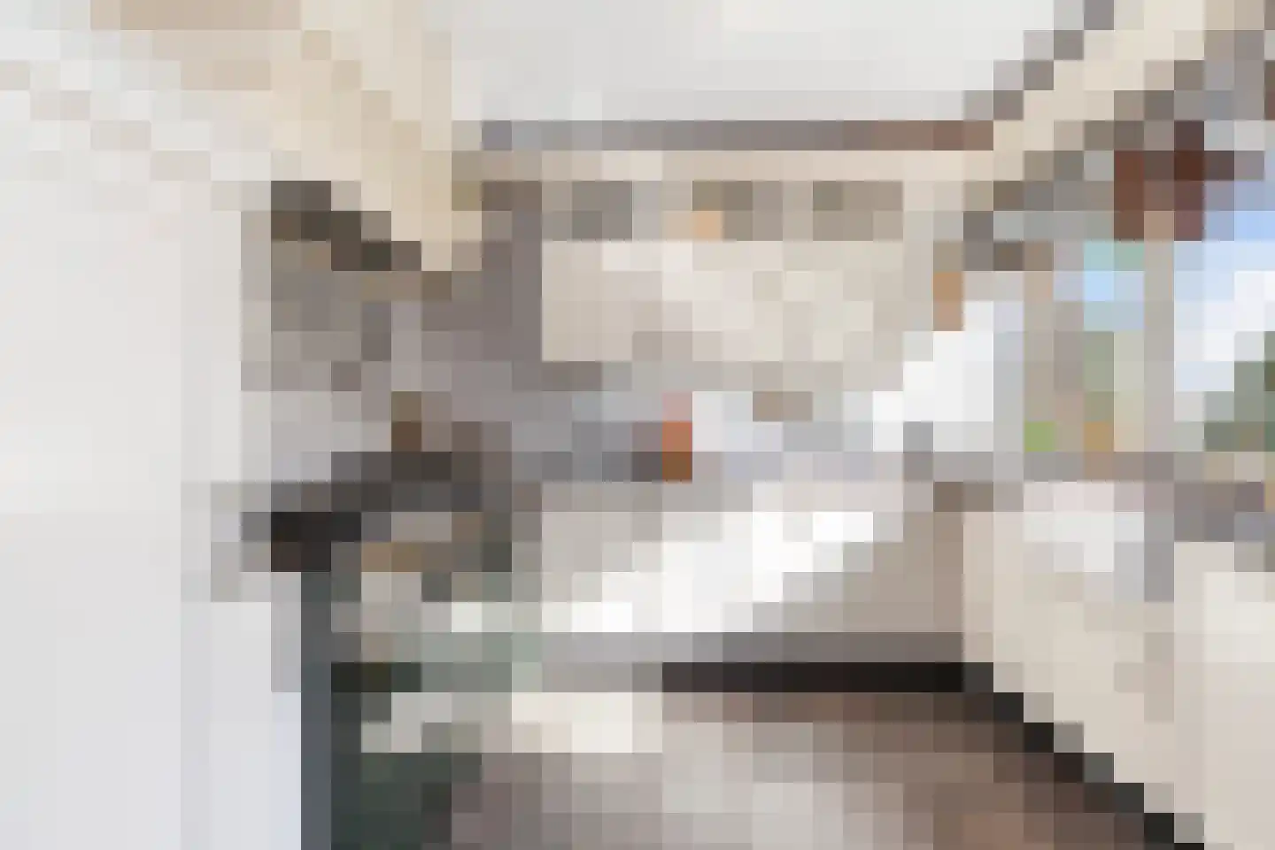 Nedersassen 2 Alblasserdam thumbnail 14