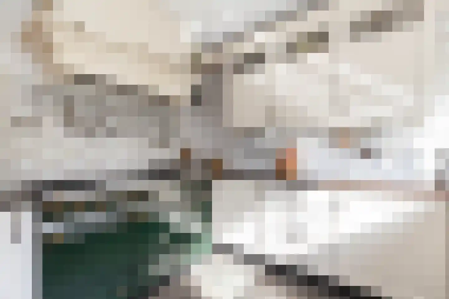 Nedersassen 2 Alblasserdam thumbnail 15