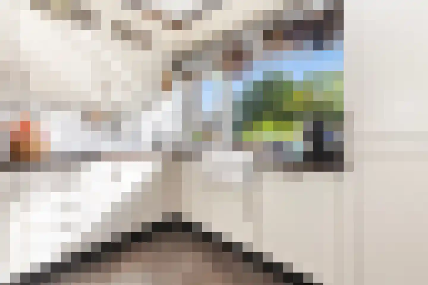 Nedersassen 2 Alblasserdam thumbnail 16