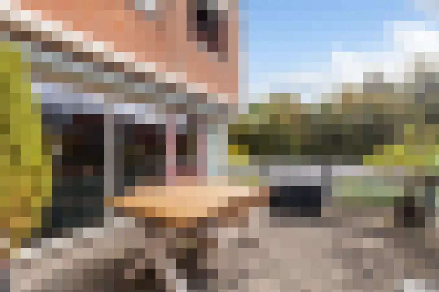 Nedersassen 2 Alblasserdam thumbnail 18