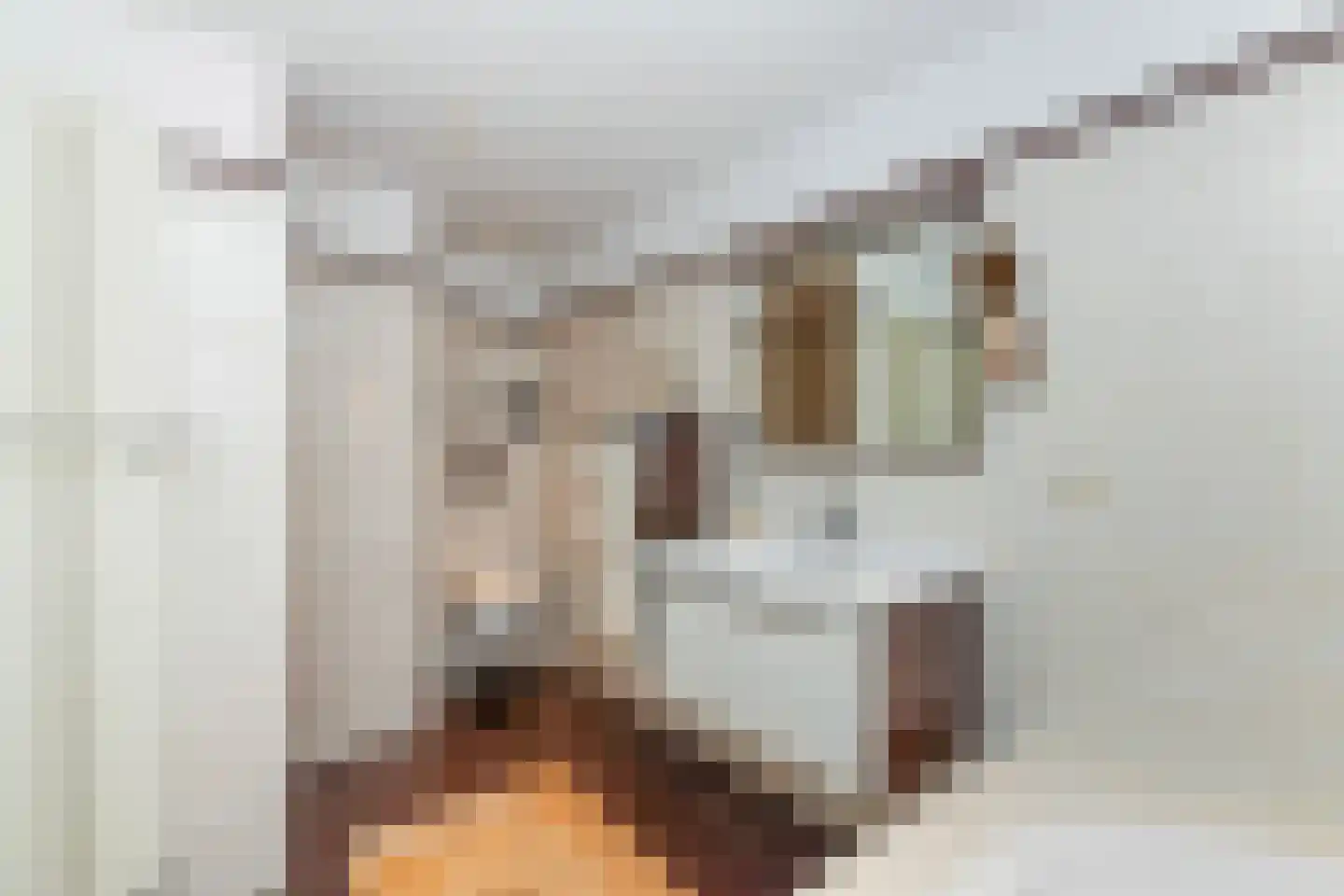 Nedersassen 2 Alblasserdam thumbnail 34