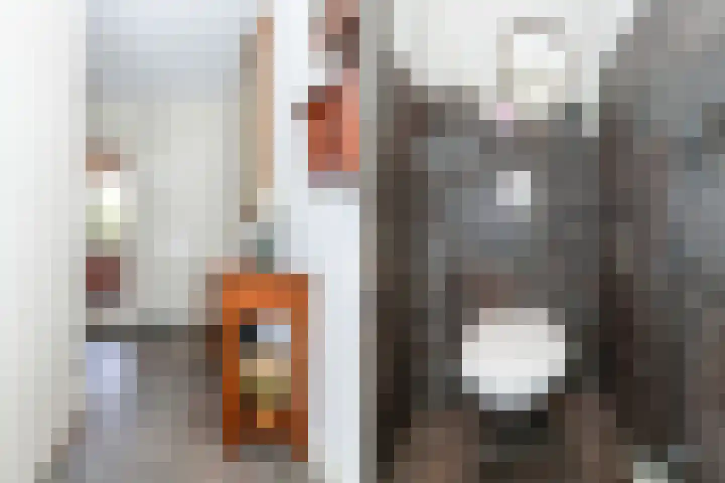 Nedersassen 2 Alblasserdam thumbnail 4