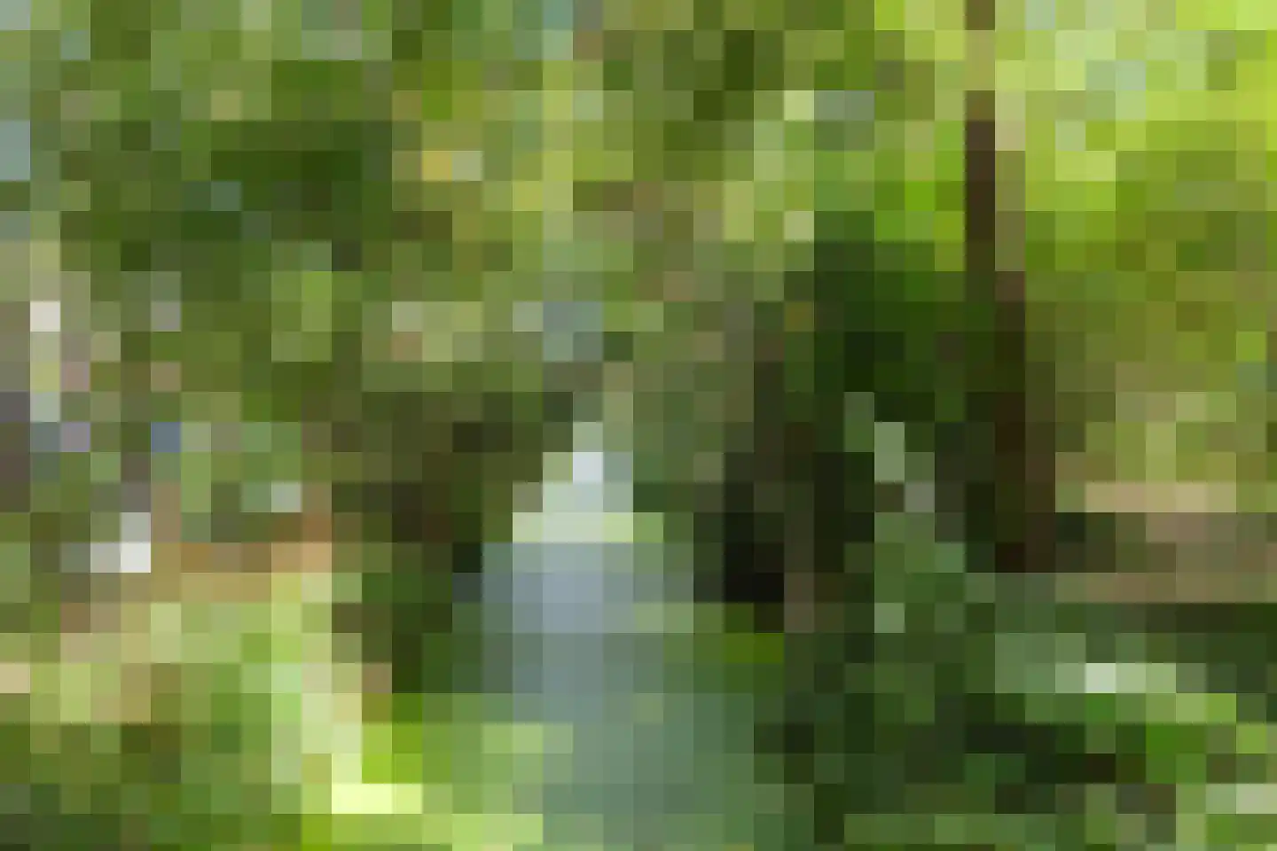 Nedersassen 2 Alblasserdam thumbnail 41