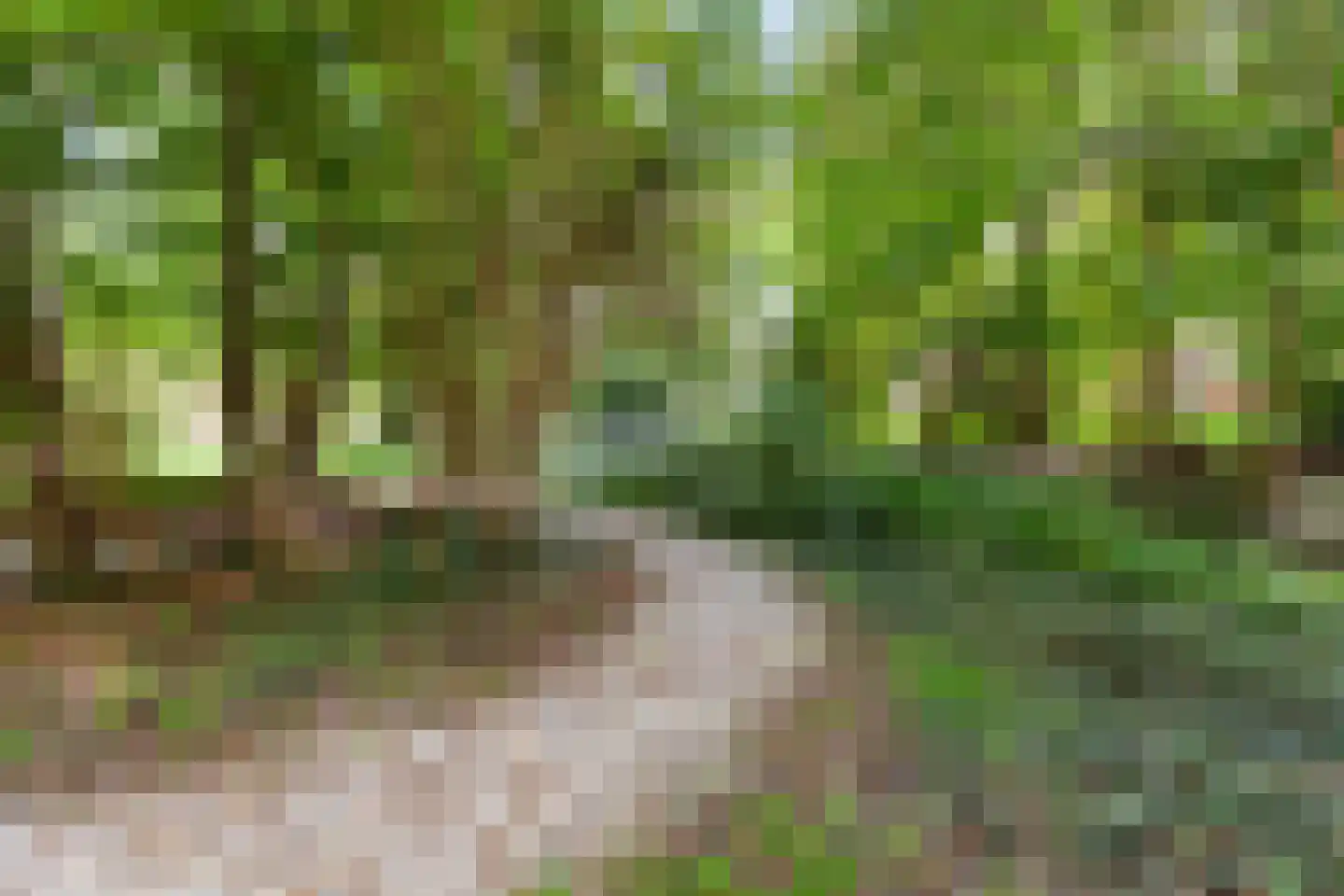 Nedersassen 2 Alblasserdam thumbnail 42