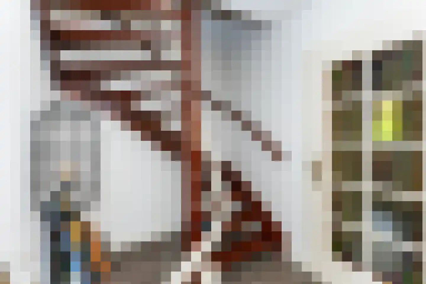 Nedersassen 2 Alblasserdam thumbnail 6