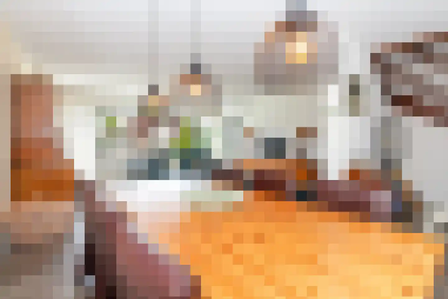 Nedersassen 2 Alblasserdam thumbnail 7
