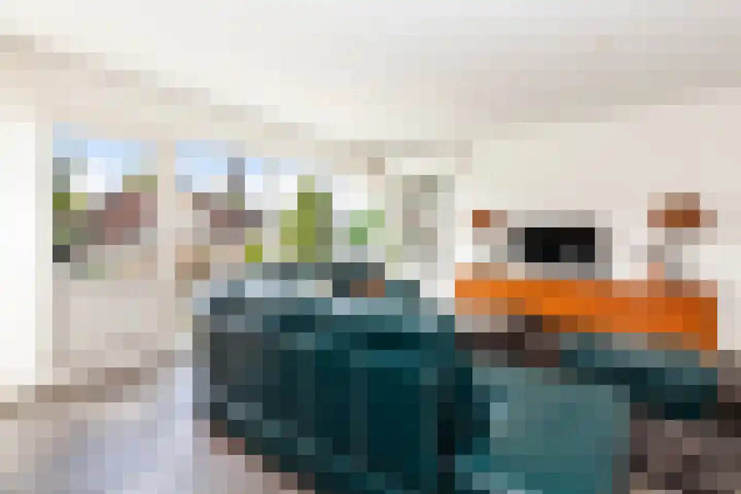 Nedersassen 2 Alblasserdam thumbnail 9