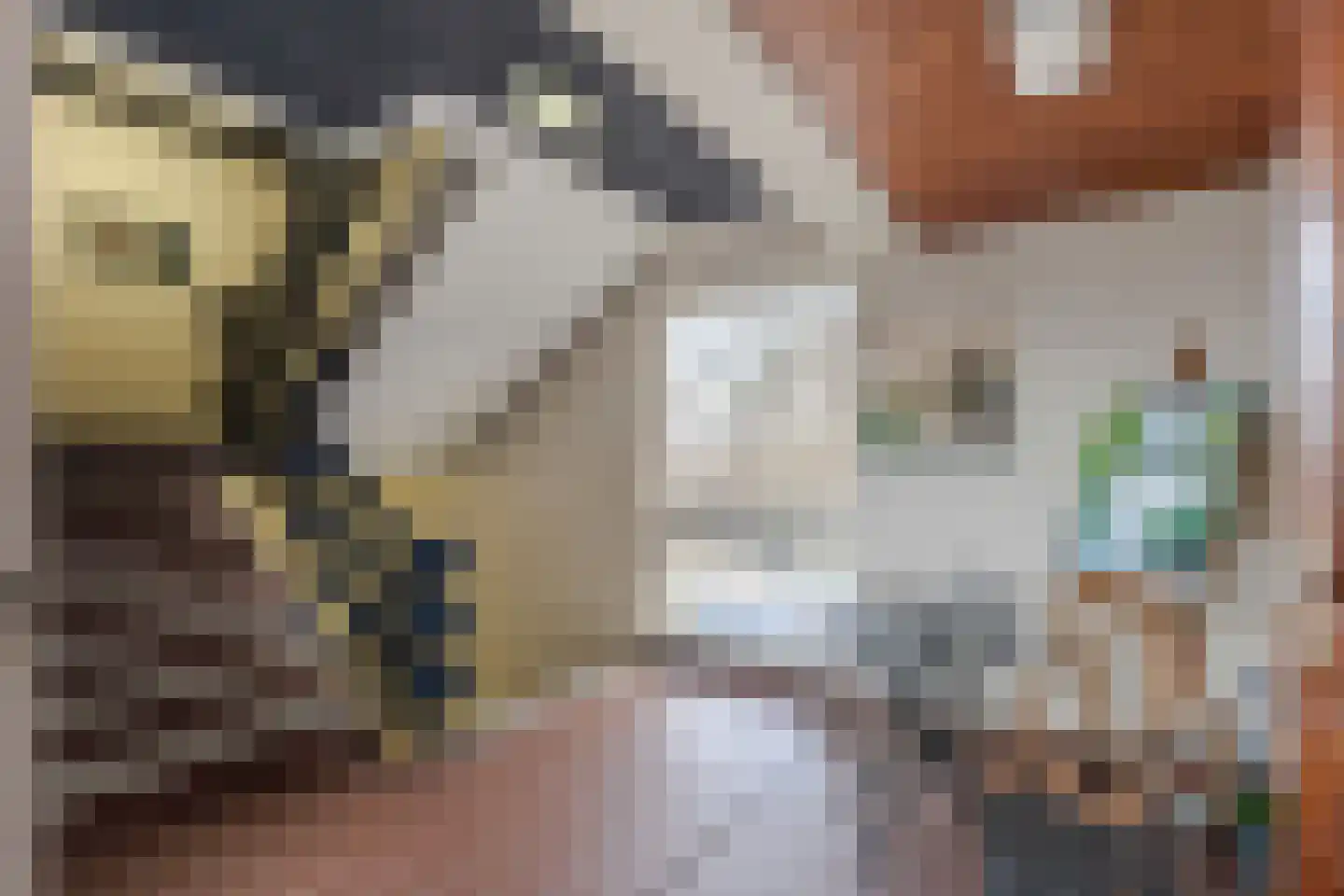 Nedersassen 22 Alblasserdam thumbnail 20
