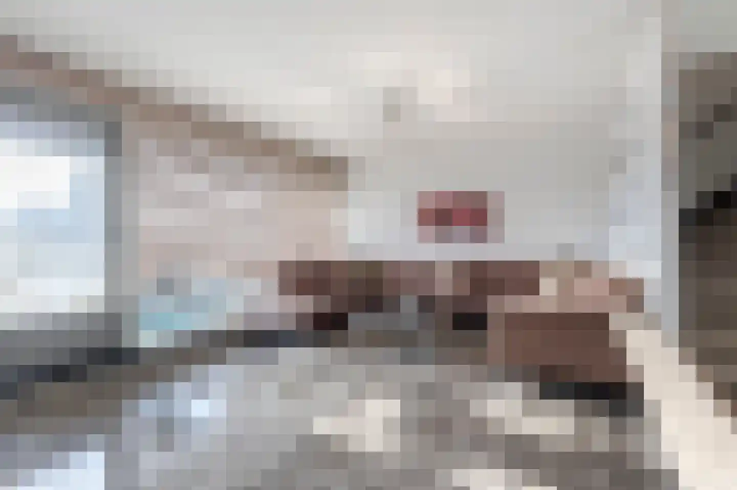 Nedersassen 22 Alblasserdam thumbnail 4