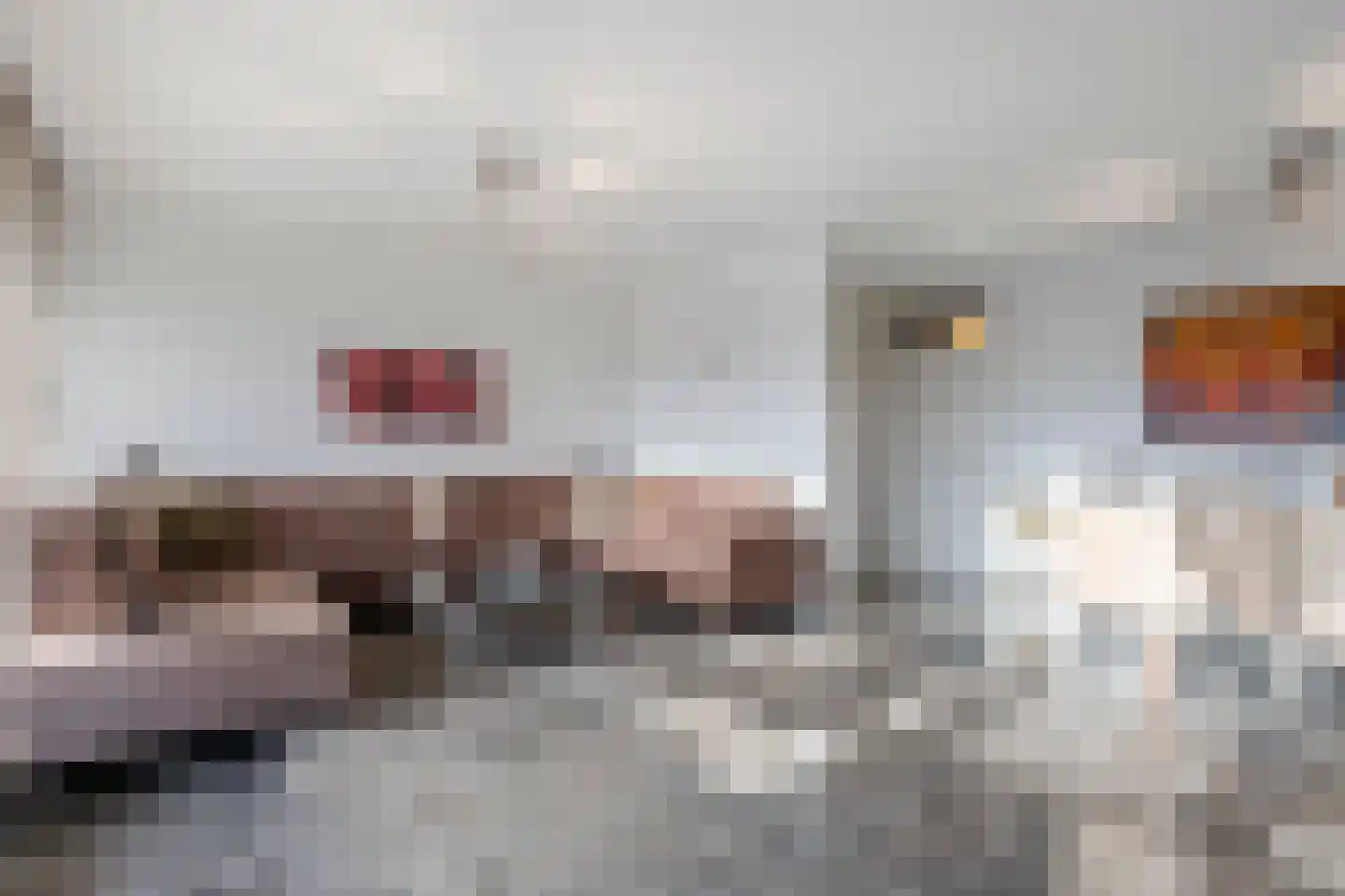 Nedersassen 22 Alblasserdam thumbnail 5