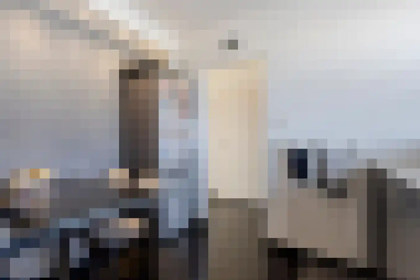 Nedersassen 22 Alblasserdam thumbnail 8