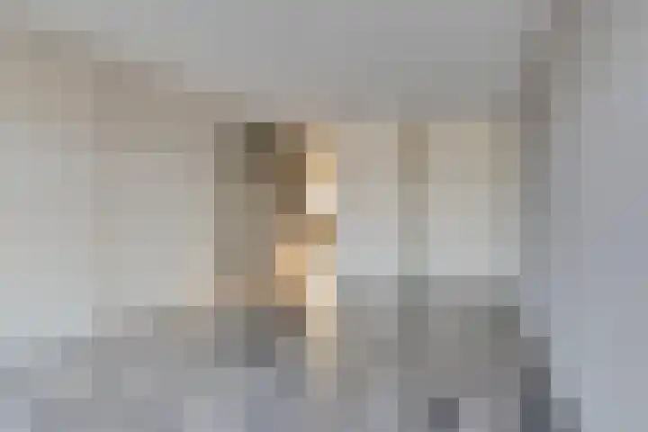Nedersassen 57 Alblasserdam thumbnail 8